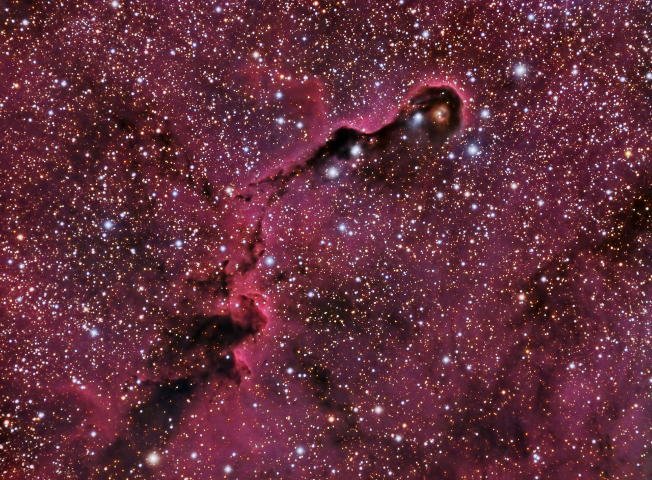 IC1396 Trompa del Elefante-Peque