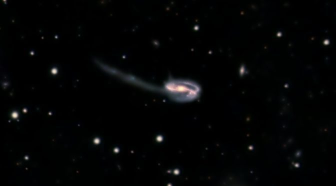 Galaxia espiral (Renacuajo) UGC 10214