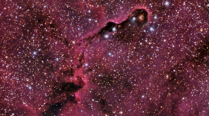 Nebulosa de la trompa del elefante IC 1396 A