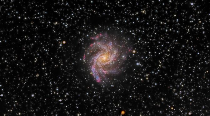 NGC6946 - Caldwell 12